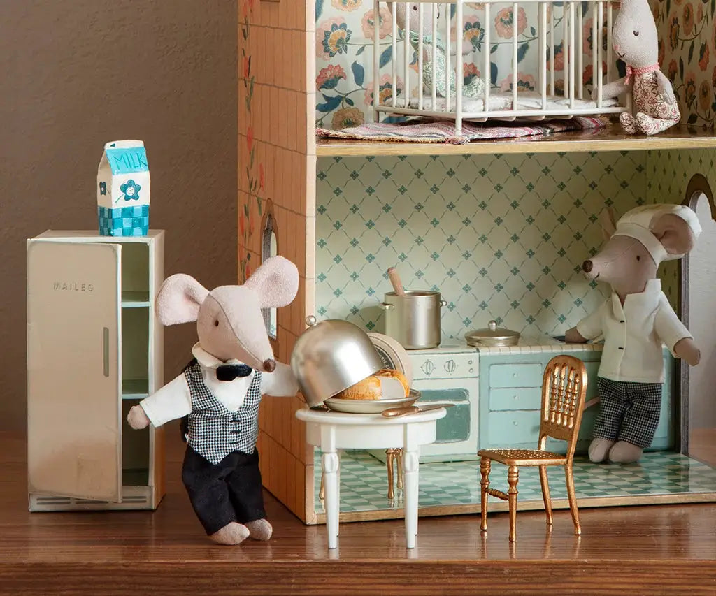 MAILEG souris / serveur