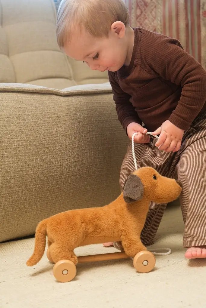 Jouet à tirer Edouard 12m+, chien en peluche marron sur roues en bois et corde.