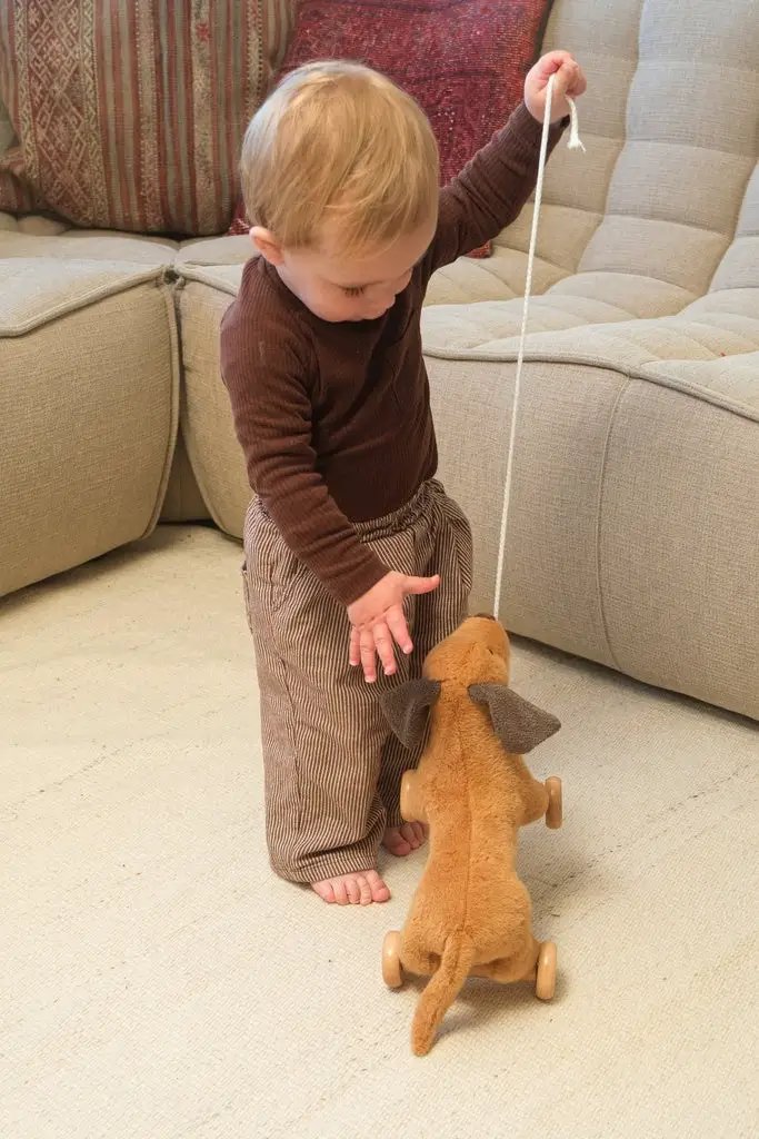 EGMONT TOYS Edouard 12m+ jeu à tirer en peluche, chien sur roues