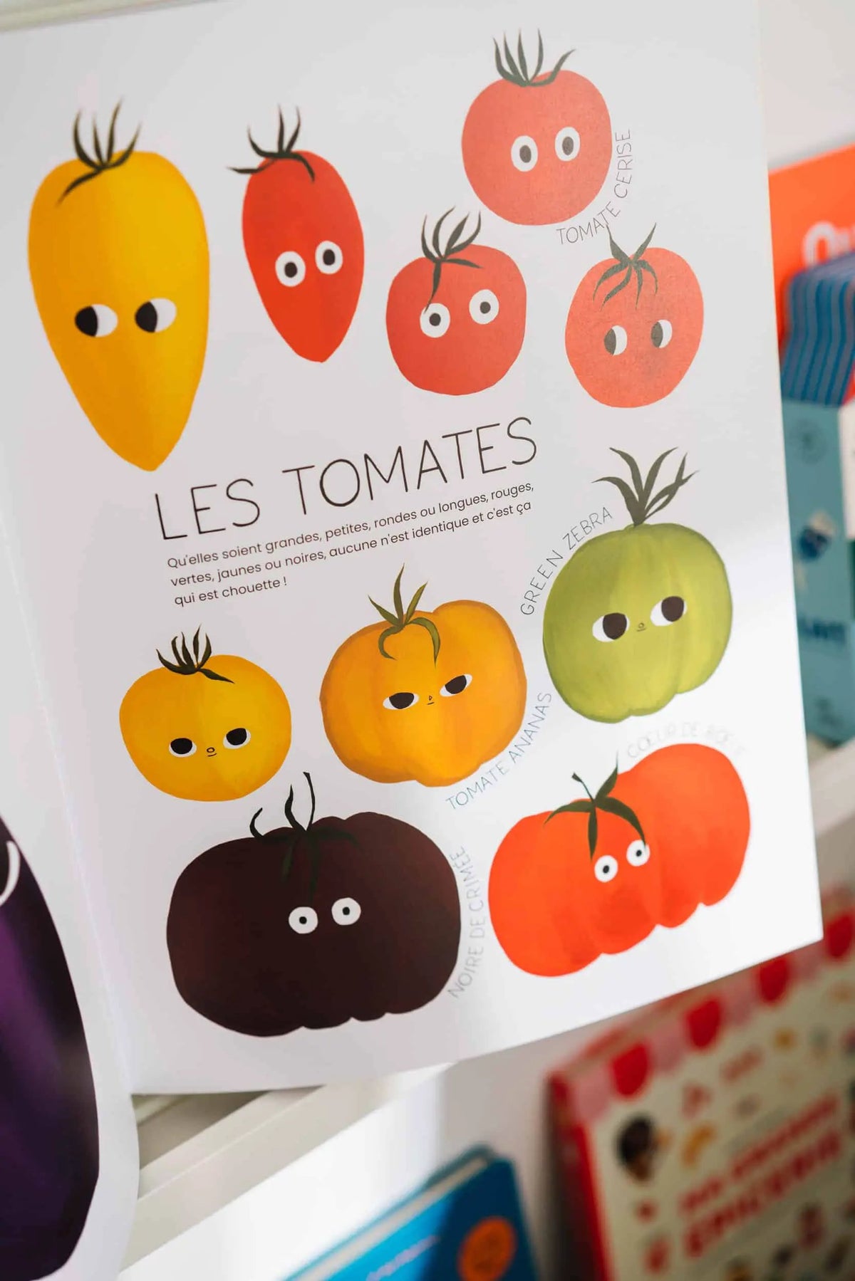 Marcel et Joachim les petits caractères print book page featuring several colorful tomatoes by Citron Grenadine