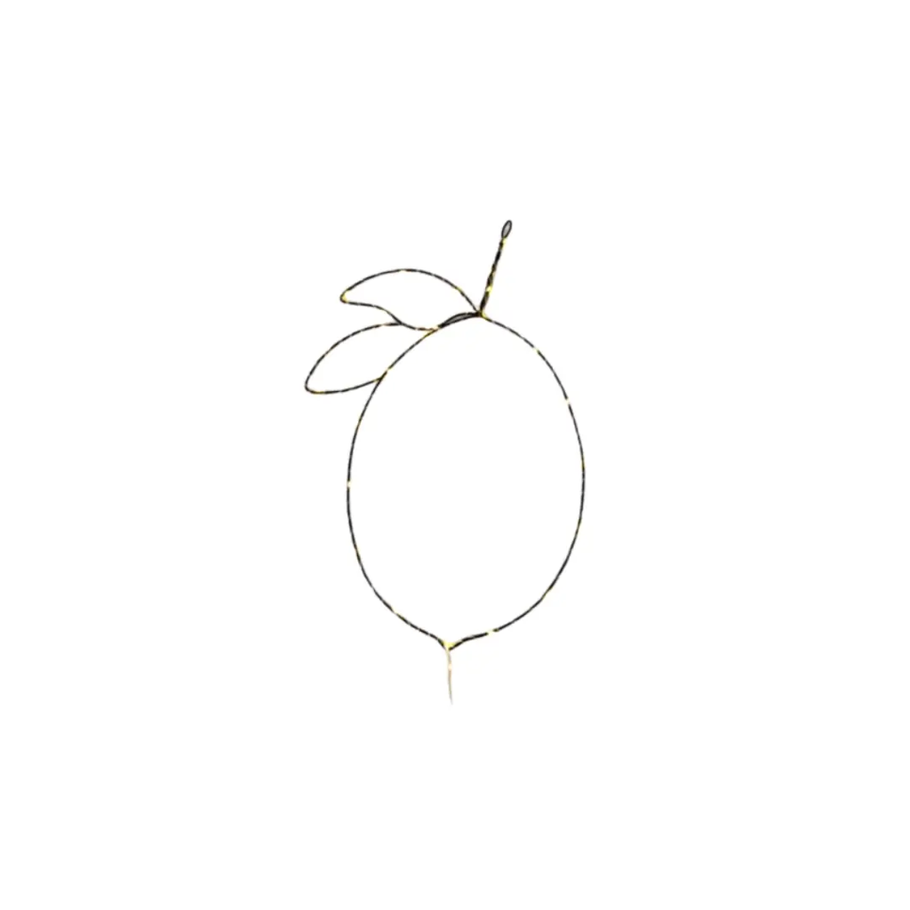VRACO lemon line drawing, simple outline with stem and leaves, Citron Grenadine