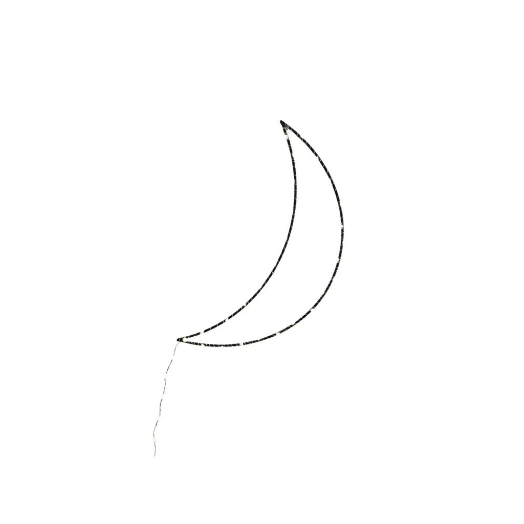VRACO moon double crescent string light by Citron Grenadine, black speckled wire