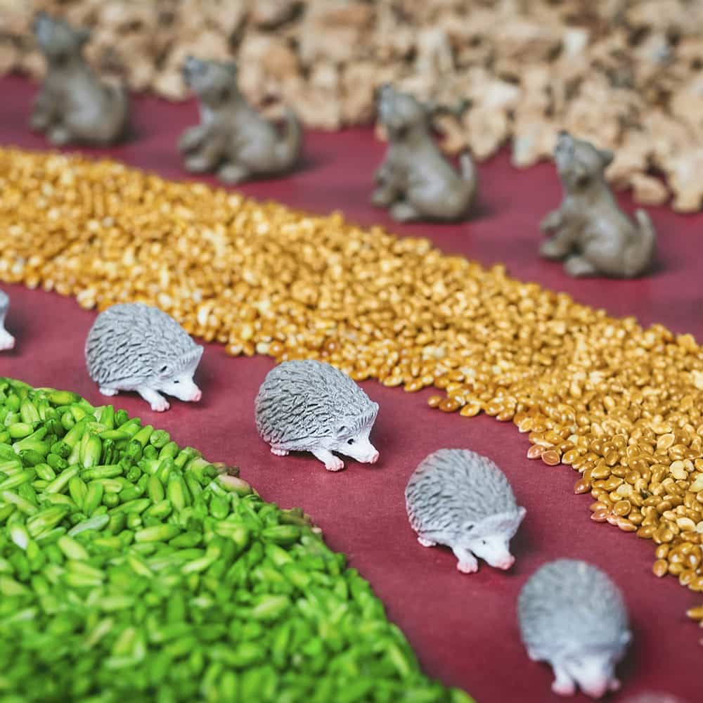 Petit Boum sensory bottle forest gray hedgehog toys among green grains and yellow seeds.