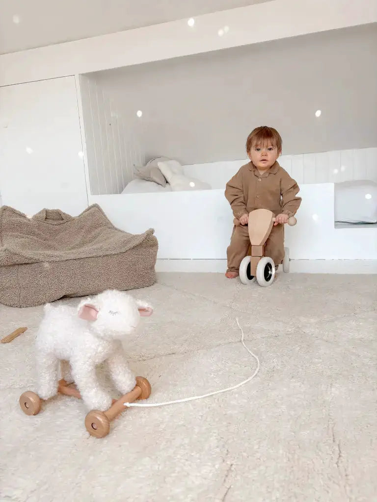 Jouet à tirer Mary 12m+ en bois par EGMONT TOYS, peluche chien blanc sur chariot et enfant sur trotteur bois