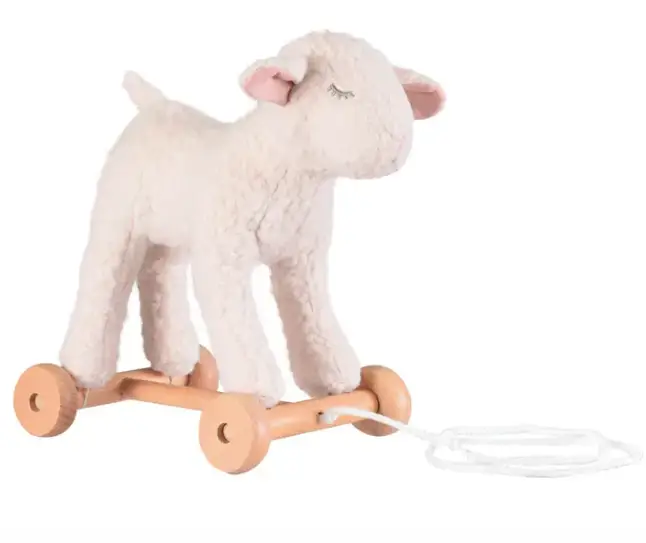 EGMONT TOYS animal à tirer 12M+ by Citron Grenadine