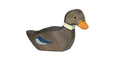 HOLZTIGER canard nageant by Citron Grenadine