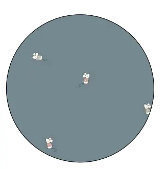 MORE THAN BABIES set 2 pièces / mouse by Citron Grenadine