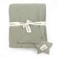 BABYSHOWER plaid / sage powder by Citron Grenadine