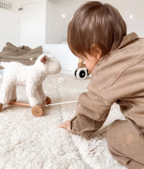 EGMONT TOYS animal à tirer 12M+ by Citron Grenadine