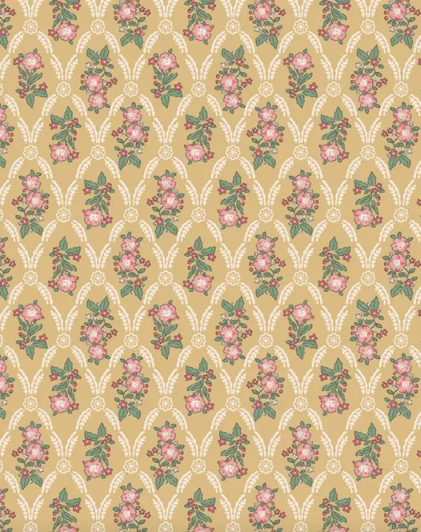 Minikane poussette canne / séraphine châssis crème by Citron Grenadine