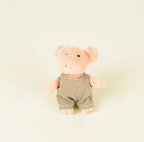 EGMONT TOYS mini friends / Bart le cochon +12mois by Citron Grenadine