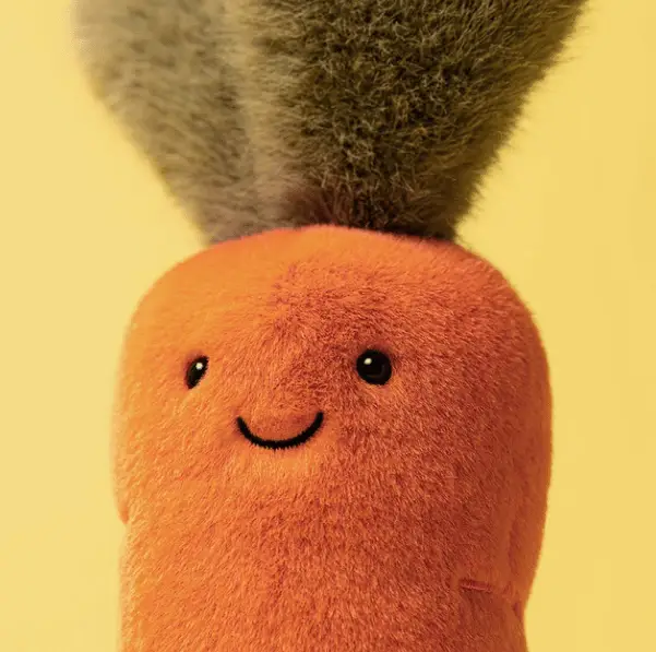 Jellycat amuseables carrot by Citron Grenadine