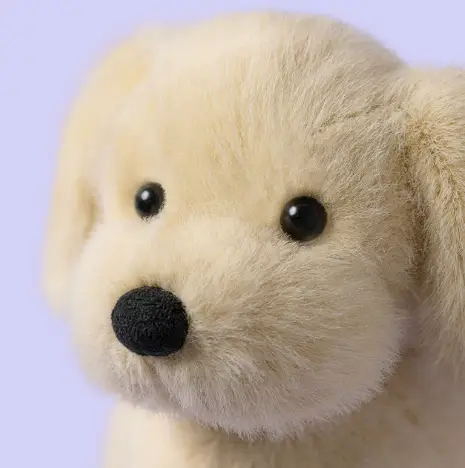 Jellycat golden puppy by Citron Grenadine