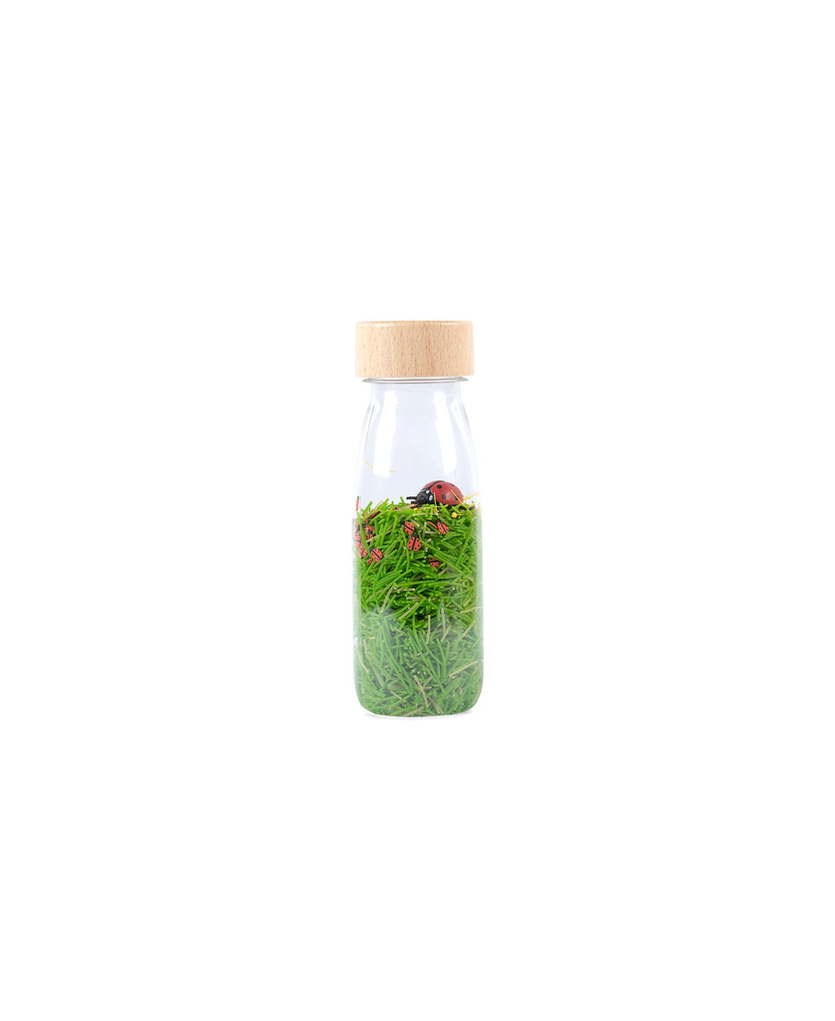 PETIT BOUM bouteille sensorielle en verre avec bouchon en bois; tiges vertes et coccinelles rouges – jouet d’éveil
