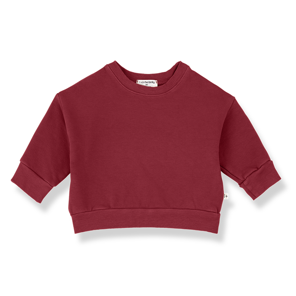 1+ IN THE FAMILY Montreal sweat / flamma