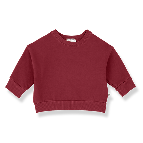 1+ IN THE FAMILY Montreal sweat / flamma