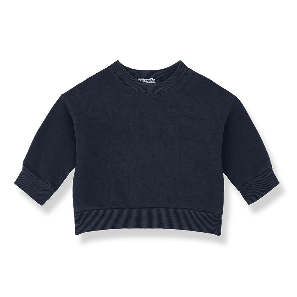1+ IN THE FAMILY Montreal sweat / blue