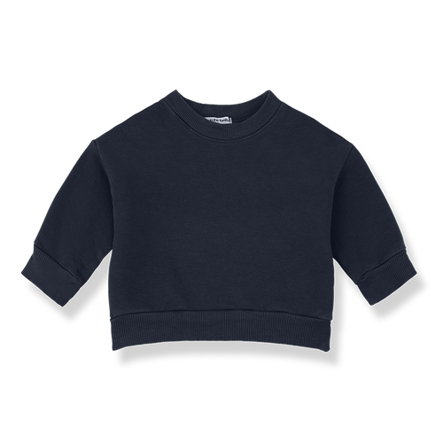 1+ IN THE FAMILY Montreal sweat / blue