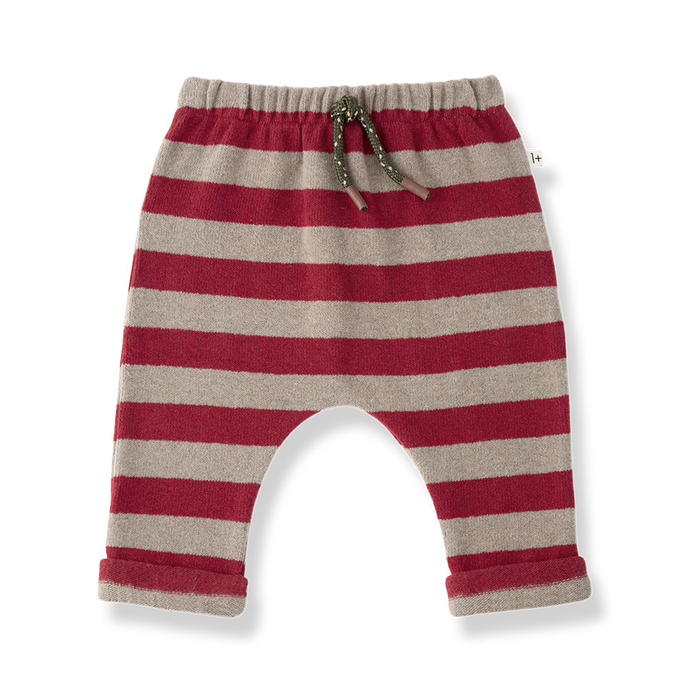 1+ IN THE FAMILY Labrador pantalon / flamma