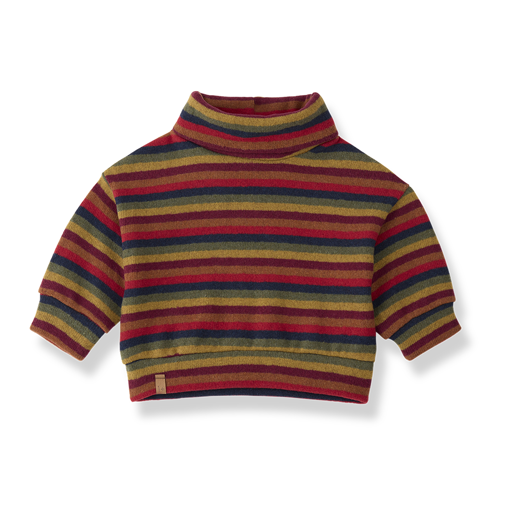 1+ IN THE FAMILY Kingston sweat / multicolor