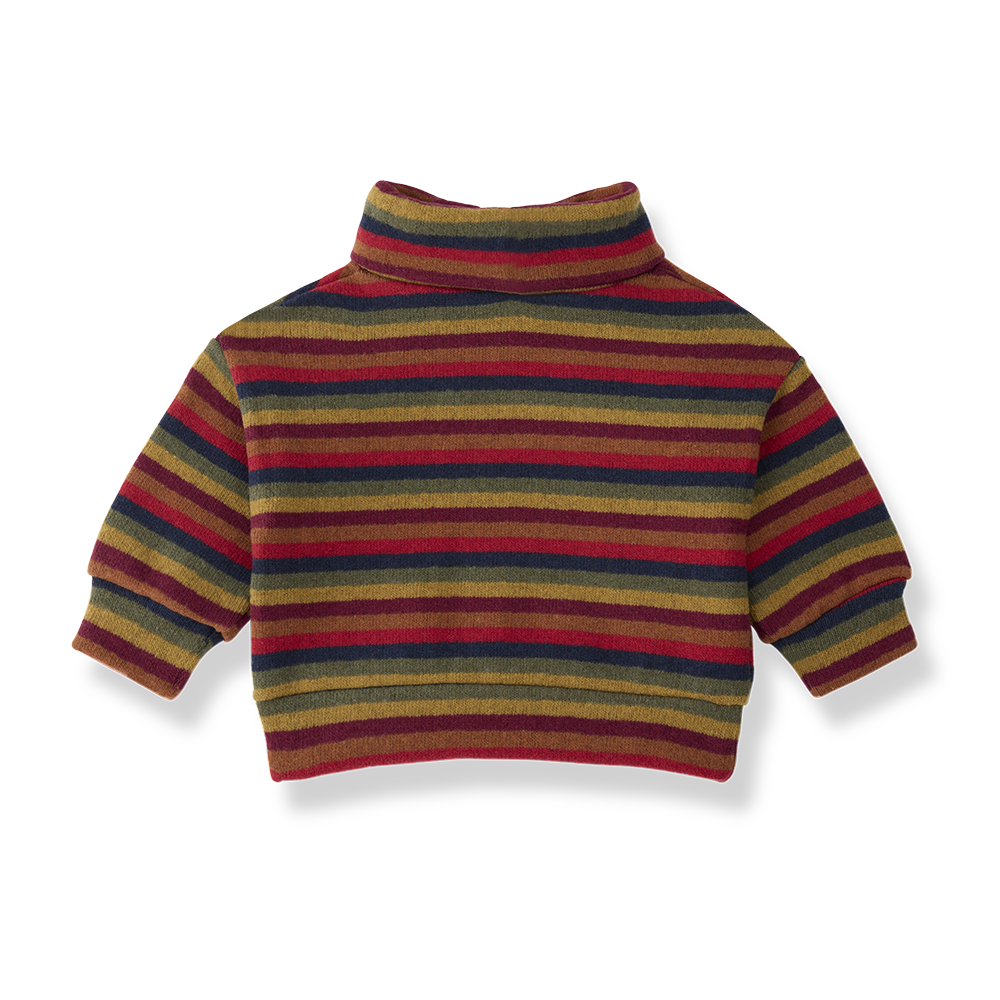 1+ IN THE FAMILY Kingston sweat / multicolor
