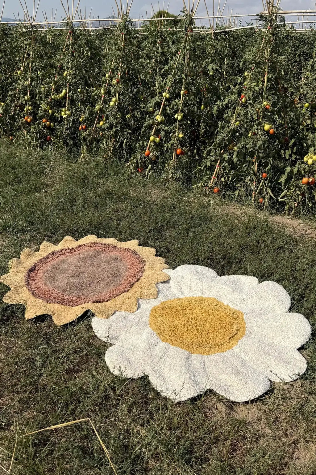 Tapis daisy lavable, blanc et beige, 2 pièces, Petits tapis
